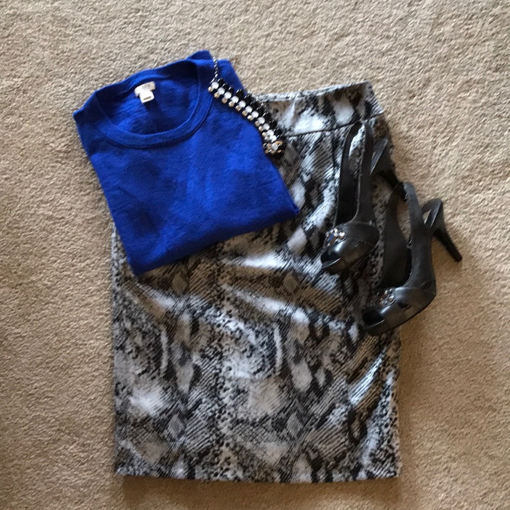 J.Crew Cobalt Blue Sweater